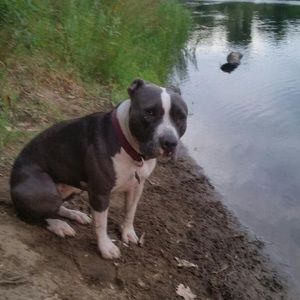 Meet your Posher, Gwen